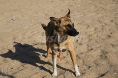 rusivlan-war-ukraine-0083