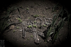 rusivlan-war-ukraine-0090